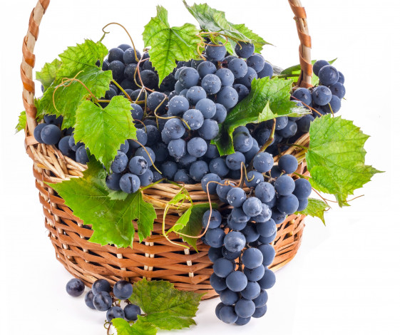 Обои картинки фото еда, виноград, корзина