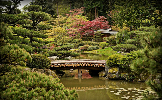 Обои картинки фото природа, парк, мост