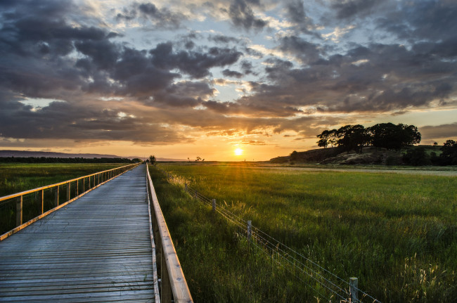 Обои картинки фото природа, восходы, закаты, поле, настил, тучи, горизонт, сияние, дорожка
