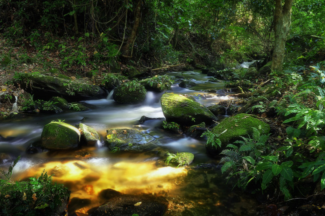 Обои картинки фото thailand, природа, реки, озера, речка, таиланд, лес, камни