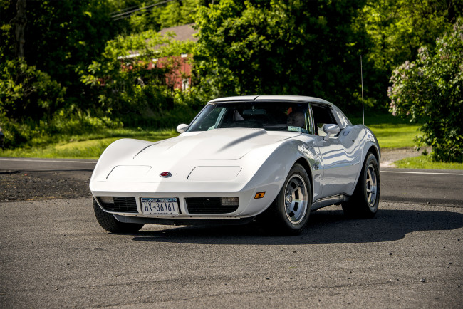 Обои картинки фото chevrolet corvette, автомобили, corvette, автошоу, автопробег, выставка