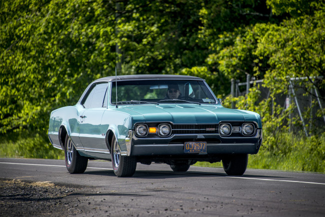 Обои картинки фото oldsmobile 442, автомобили, oldsmobile, автошоу, выставка, автопробег