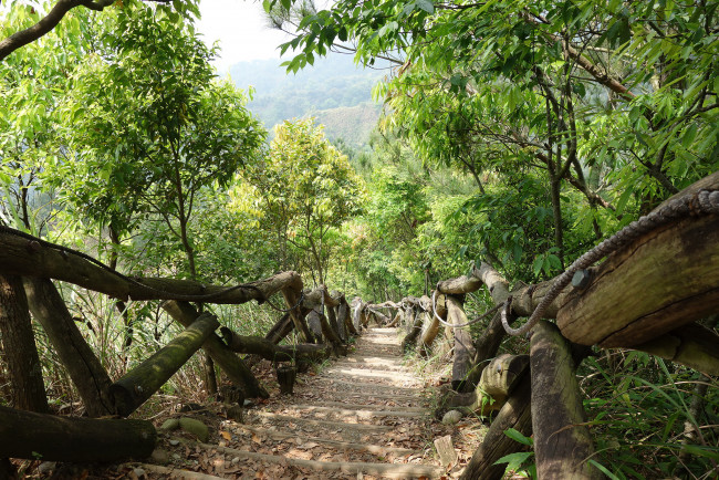 Обои картинки фото природа, дороги, лес, склон, перила, тропа