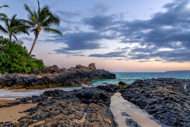 Обои картинки фото природа, тропики, горизонт, пальмы, океан, рифы