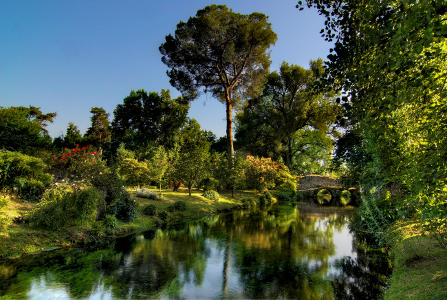 Обои картинки фото природа, реки, озера, лес, мост, река