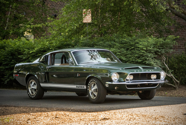 Обои картинки фото ford mustang gt500 kr, автомобили, mustang, автопробег, выставка, автошоу