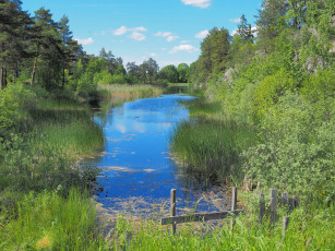 Картинка природа реки озера река лес