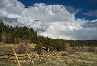 Картинка природа поля поле изгородь лес