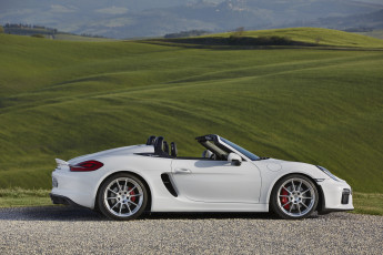 Картинка автомобили porsche светлый 2015г 981 spyder boxster