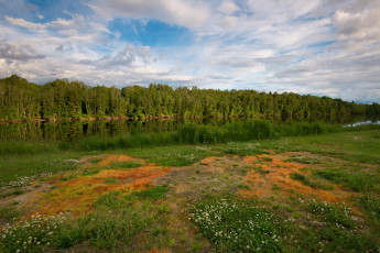 Картинка природа реки озера река лес