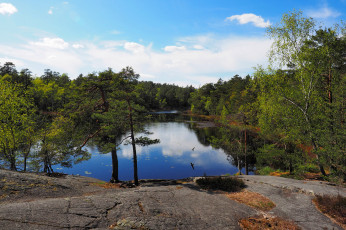 Картинка природа реки озера лес река