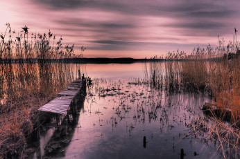 Картинка природа реки озера сумерки мостик река