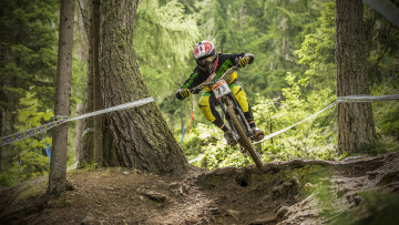 обоя спорт, велоспорт, фон, велосипед, гонка