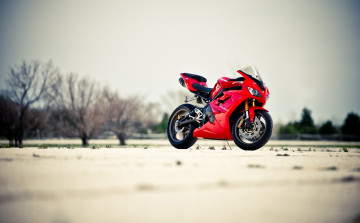 Картинка triumf+daytona мотоциклы triumph triumf daytona