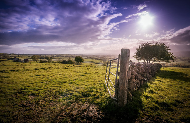 Обои картинки фото природа, восходы, закаты, поле, простор, изгородь