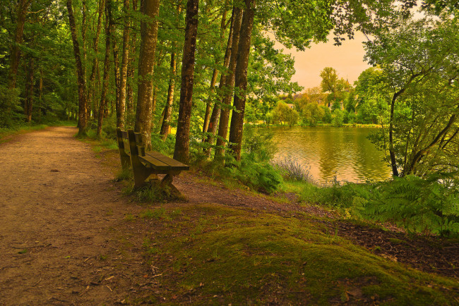 Обои картинки фото природа, реки, озера, тропинка, скамейка, лес, река