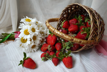 Картинка еда клубника +земляника ромашки