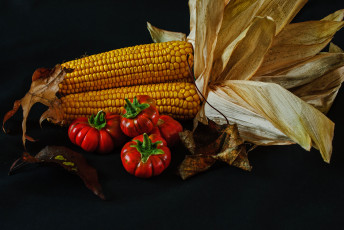 Картинка еда овощи кукуруза томаты помидоры