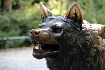 Картинка разное садовые+и+парковые+скульптуры пасть оскаленная