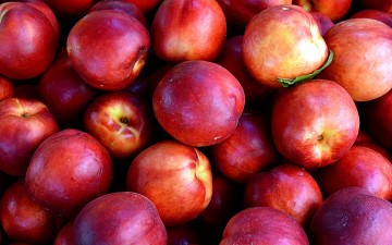 Картинка еда персики +сливы +абрикосы нектарины