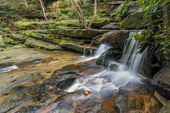 Картинка природа водопады река лес водопад