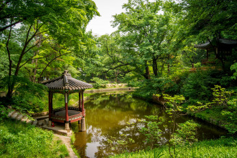 Картинка природа парк пруд