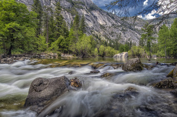 Картинка природа реки озера река лес