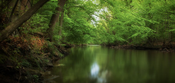 Картинка природа реки озера река лес