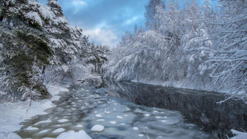 Картинка природа реки озера пейзаж деревья лес река зима