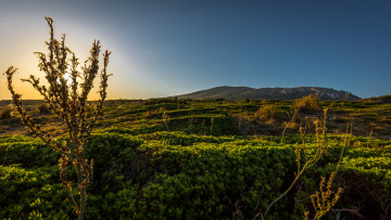 Картинка природа восходы закаты рассвет