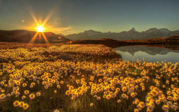 Картинка природа восходы закаты солнце блики