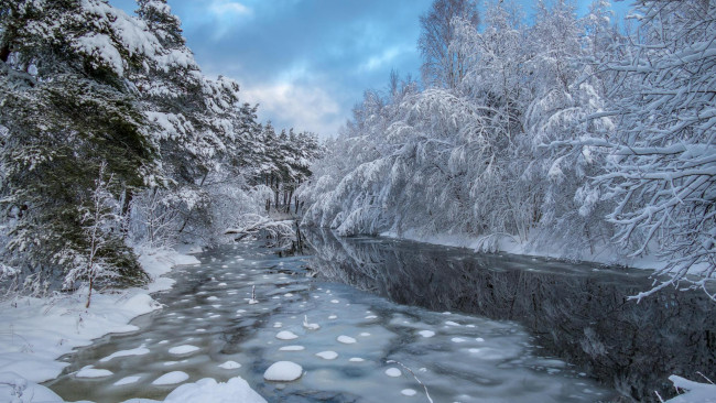 Обои картинки фото природа, реки, озера, пейзаж, деревья, лес, река, зима