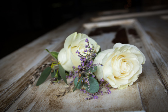 Обои картинки фото цветы, розы, blossoms, leaves, petals, bud, rose, цветение, листья, лепестки, бутон, роза