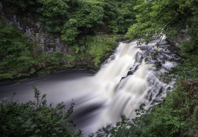 Обои картинки фото природа, водопады, река, лес, водопад