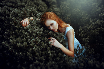 Картинка девушка девушки -unsort+ рыжеволосые+и+другие модель