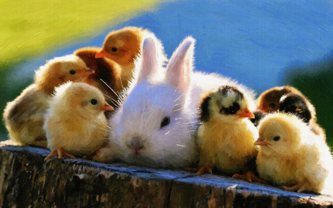 Обои картинки фото рисованное, животные, цыплята, кролик