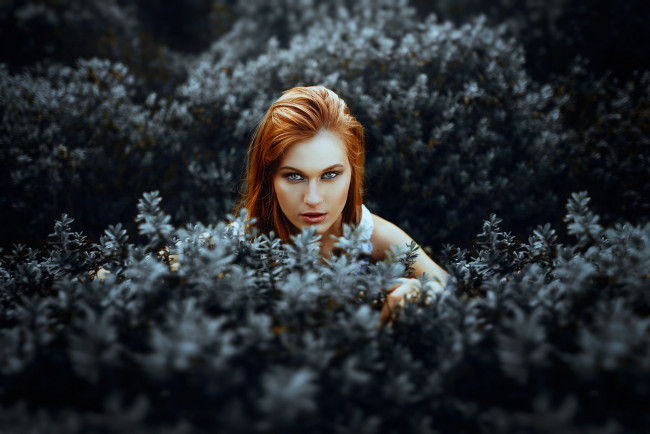 Обои картинки фото девушка, девушки, -unsort , лица,  портреты, модель