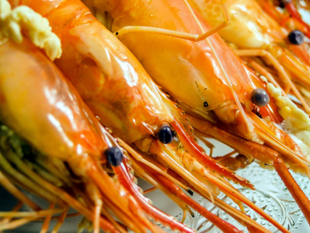 Обои картинки фото еда, рыба,  морепродукты,  суши,  роллы, креветки