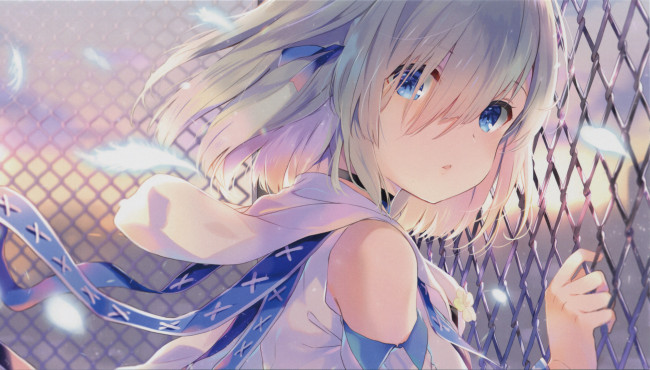 Обои картинки фото аниме, mahou shoujo madoka magika, девочка, волшебница, мадока