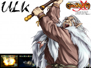 Картинка grandia xtreme видео игры