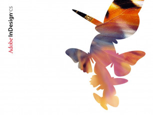 Картинка компьютеры adobe