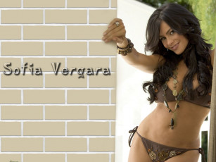 Картинка Sofia+Vergara девушки