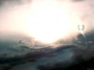 Картинка шум уходящего ветра разное