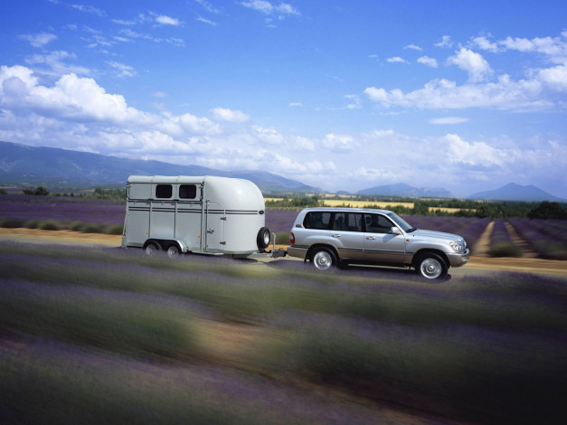 Обои картинки фото автомобили, toyota