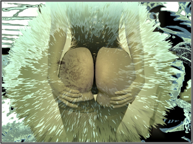 Обои картинки фото разное