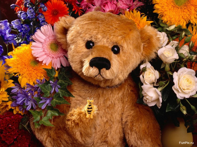 Обои картинки фото разное