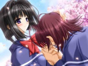 Картинка аниме *unknown другое