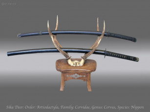 Картинка оружие