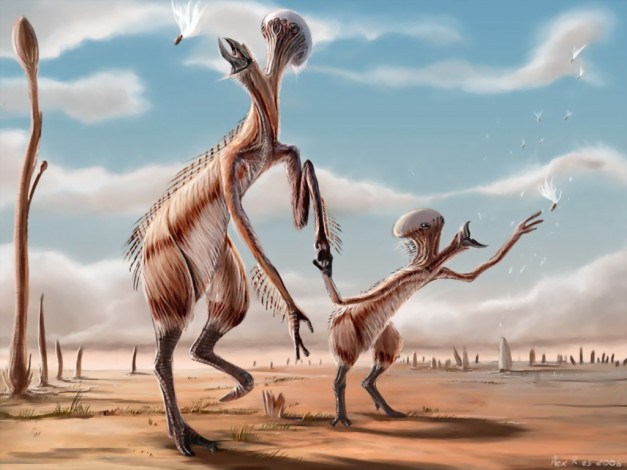 Обои картинки фото фэнтези, существа