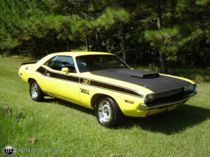 Картинка автомобили выставки уличные фото